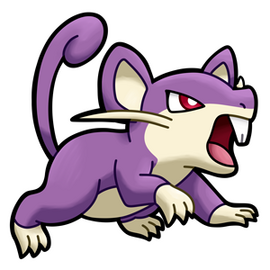 Rattata (Male)