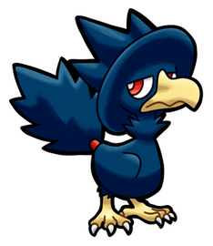 Murkrow (Male)