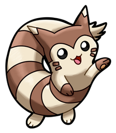 Furret