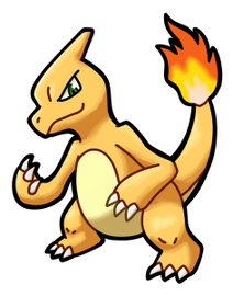 Colo. Charmeleon