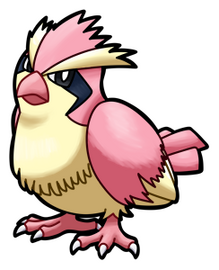 Pinkan Pidgey