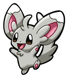 Minccino