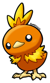 Torchic