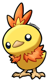 S. Torchic