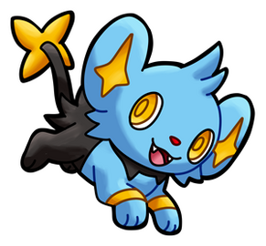 Shinx (Male)
