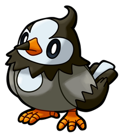 Starly (Male)