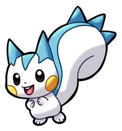 Pachirisu (Male)