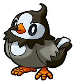 Starly (Female)