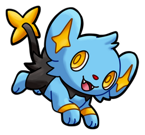 Shinx (Female)