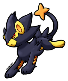 S. Luxray (Male)