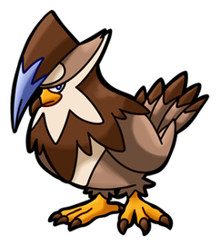 S. Staraptor (Female)