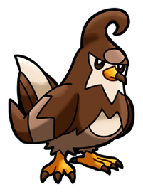 S. Staravia (Female)