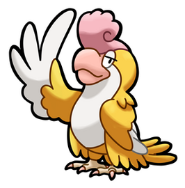 Squawkabilly (Yellow)