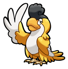 Squawkabilly (Yellow)