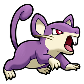 Rattata (Female)