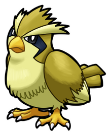 S. Pidgey