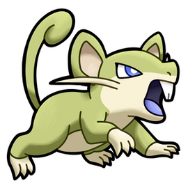 S. Rattata (Male)