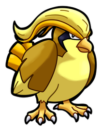 S. Pidgeot