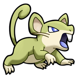 S. Rattata (Female)