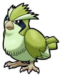 Stad. Pidgey